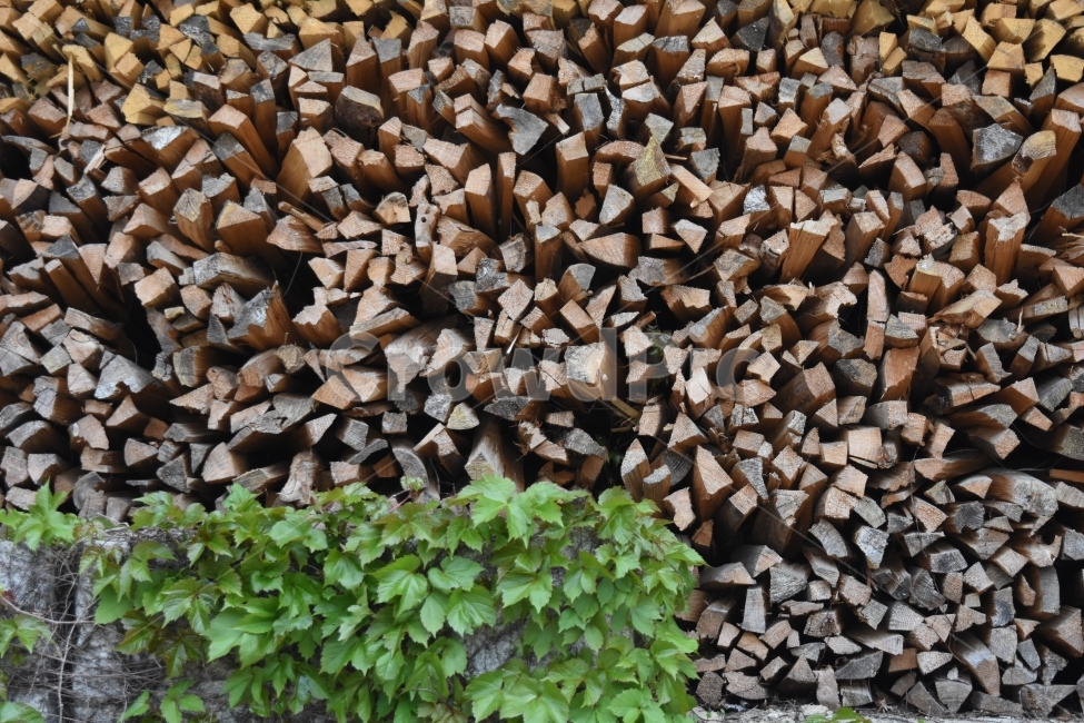 장작,나무,풍경,기다림,자연,나무,trees,wood