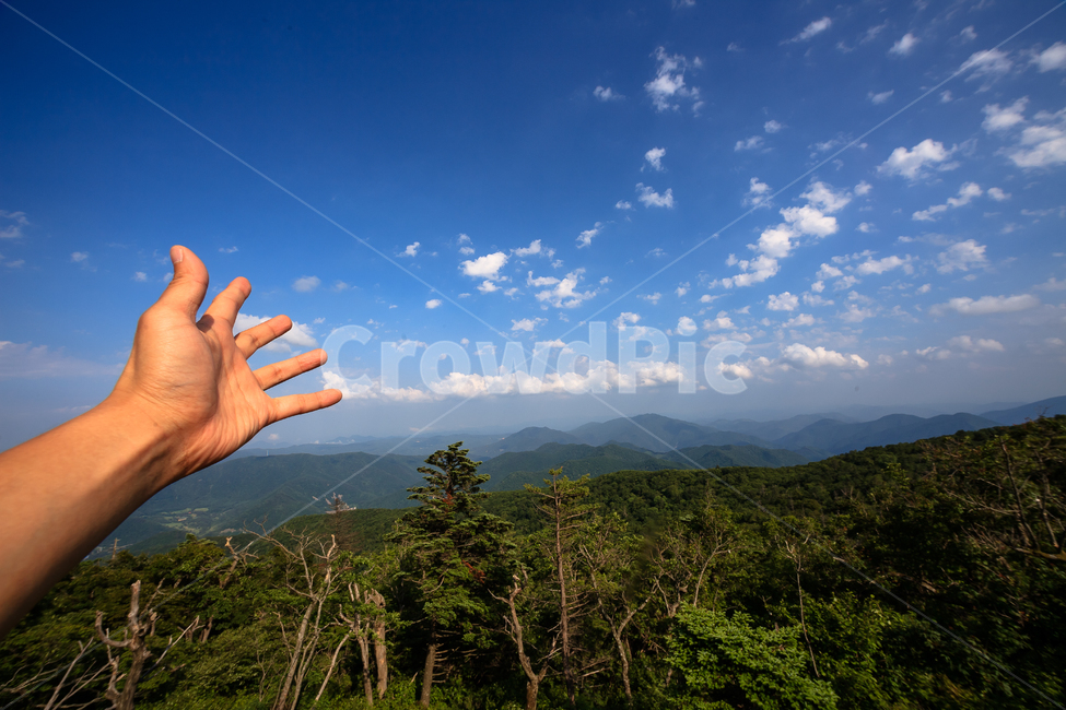 알펜시아,강원도,환경,농촌,구름,숲,공원,맑은,풍경,여름,자연,풍경,nature,landscape,사람,인물,인간,human,person,신체일부,몸,body,outdoors,옥외