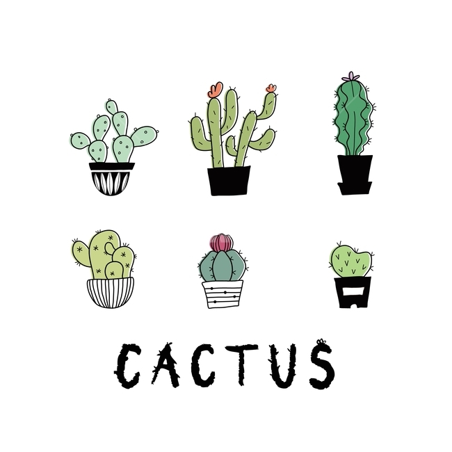 선인장,식물,사막,디자인,일러스트레이터,벡터,그래픽,일러스트,cactus,plants,vector,desertplants,illustrator,illust,design,graphic,그래픽,일러스트레이션,graphic,illustration