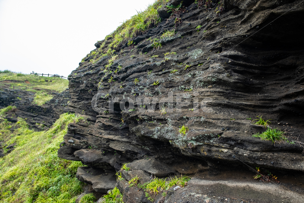 돌,outdoors,nature,자연,cliff,낭떠러지,벽,제주,제주도,우도,검멀레해변,이끼,풀,자연,풍경,nature,landscape,제주도,jeju,jeju island,옥외