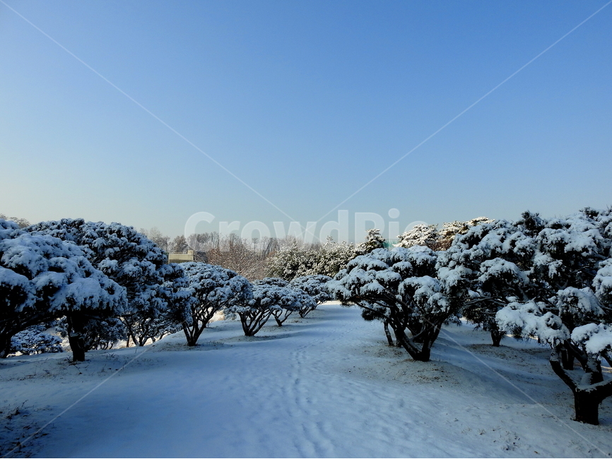 겨울,계절,하늘,구름,풍경,설경,겨울,계절,winter,season,자연,풍경,nature,landscape,한국자연풍경,한국자연경관,korea nature landscape,outdoors,옥외,ice,빙,snow,눈