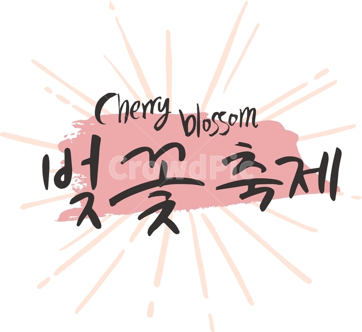 벚꽃놀이,벚꽃축제,일러스트,벡터,봄,캘리그라피,패턴,패키지,라인,텍스처,질감,다이어리,책표지,북커버,팝업,배너,계절,벚꽃,축제,꽃,캘리,번짐,잉크,캘리그라피,손글씨,calligraphy