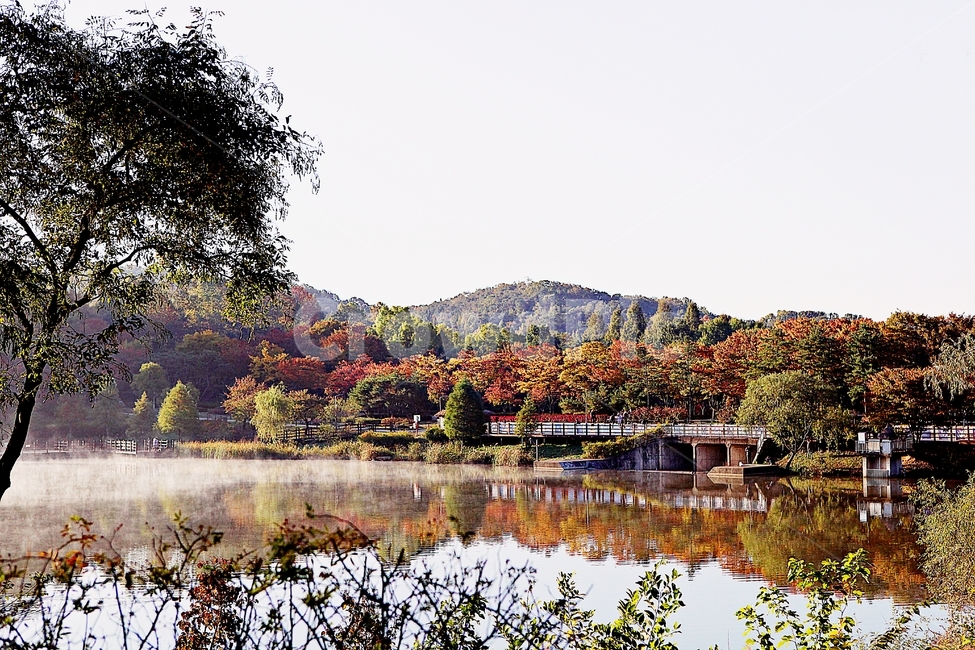 호수,단풍,아침,인천대공원,물안개,물,식물,나무,자연,풍경,공원,자연,풍경,nature,landscape,한국자연풍경,한국자연경관,korea nature landscape