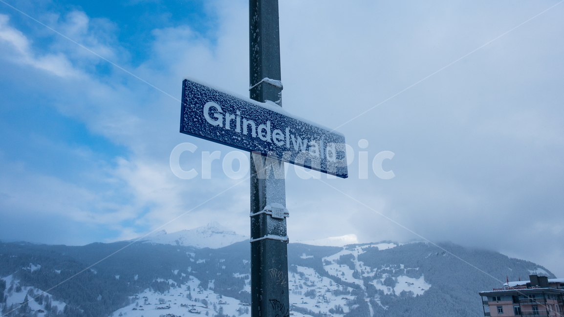 스위스,산,알프스,융프라우,겨울,눈,겨울왕국,swiss,mountain,alps,jungfrau,winter,snow,frozen,기차,표지판,그린델발트,그린델왈드,grindelwald,symbol,상징,겨울,계절,winter,season
