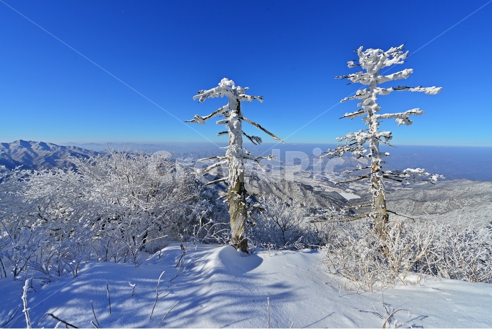 mountain,산,nature,자연,outdoors,옥외,landscape,경치,scenery,풍경,mountainrange,산맥,snow,눈,덕유산,설천봉,향적봉,중봉,상고대,덕유산설경,겨울,계절,설경,고사목,겨울,계절,winter,season,자연,풍경,nature,landscape,한국자연풍경,한국자연경관,korea nature landscape