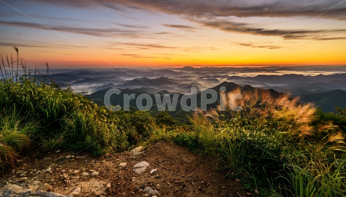 일출,운해,대둔산,풍경,가을,갈대,landscape,자연,풍경,nature,landscape,한국자연풍경,한국자연경관,korea nature landscape,dirt road,흙길,road,도로,gravel,자갈,ground,바닥