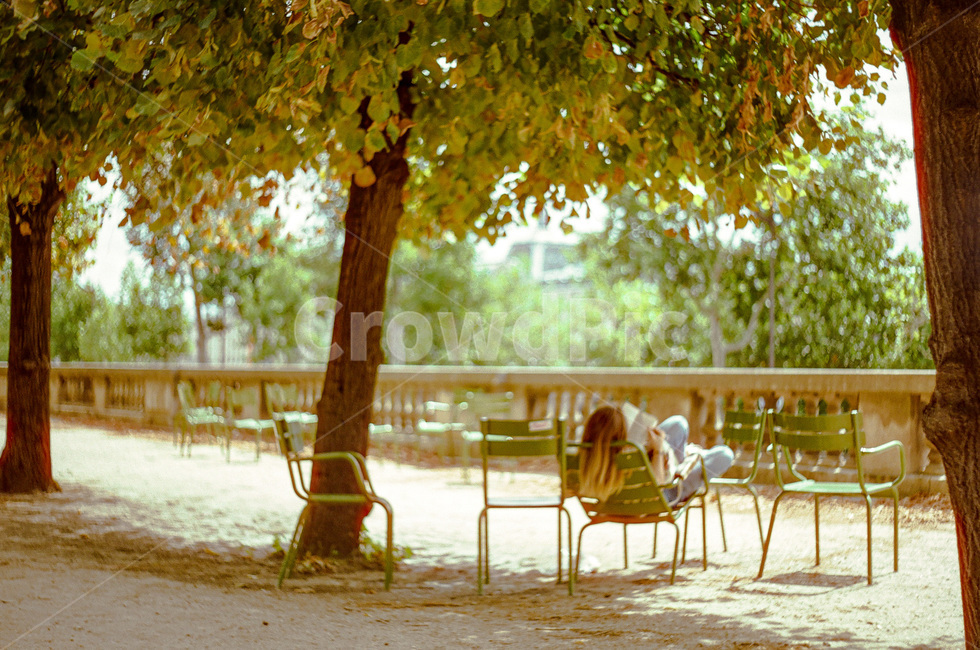 grass,잔디,park,공원,outdoors,휴식,힐링,healing,plant,식물,furniture,chair,가구,의자,tree,나무,옥외,lawn