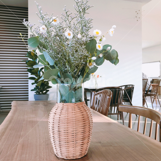 화분,카페,실내,인테리어,식탁,의자,꽃,실내용화초,화분,화초,house plant