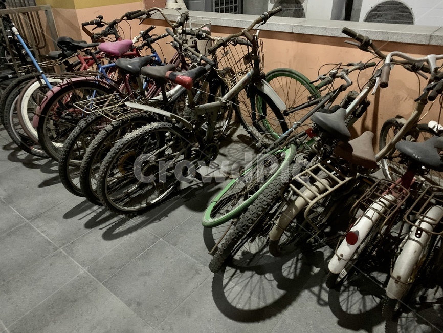wheel,machine,바퀴,기계,교통,bicycle,transportation,bike,자전거,vehicle,차량