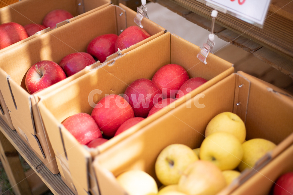 사과,apple,과일,fruit,food,음식,음식,식재료,요리,food,cook,meal,dishes,food reserves,과일,열매,fruit