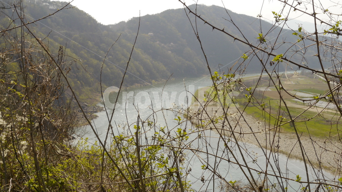 강,하늘,봄,나무,하천,자연,풍경,nature,landscape,grass,잔디,plant,식물,outdoors,옥외