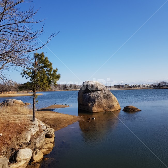 nature,자연,water,물,outdoors,옥외,호수,호수가,나무,돌