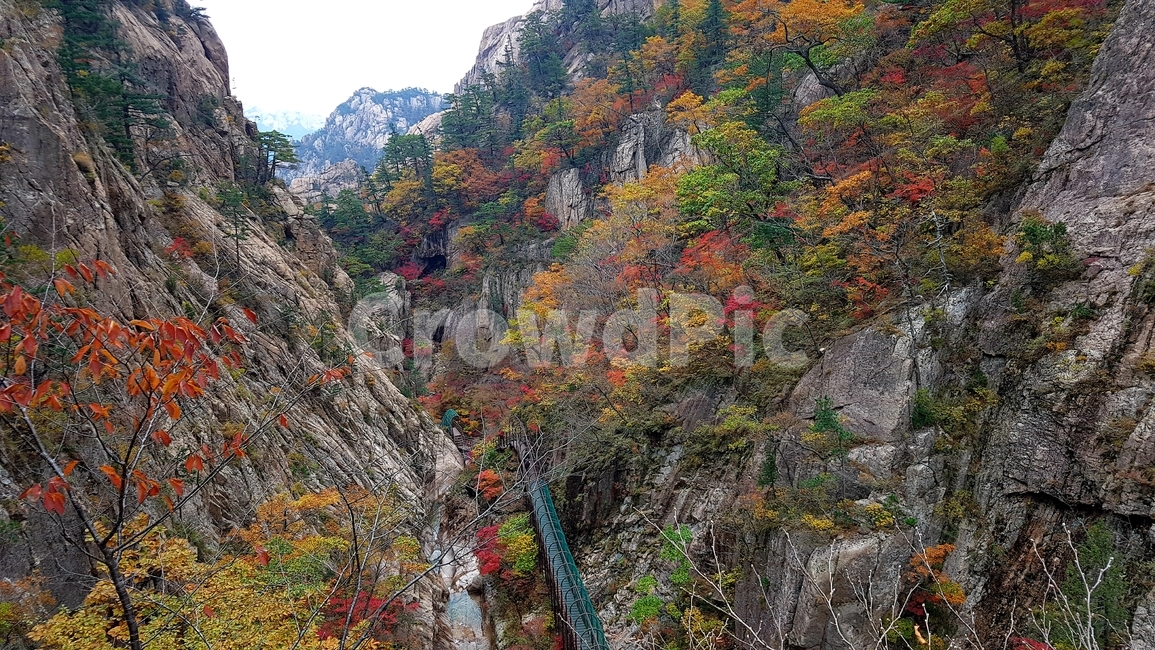 설악산,국립공원,가을,단풍,천불동계곡,가을,계절,fall,autumn,season,자연,풍경,nature,landscape,한국자연풍경,한국자연경관,korea nature landscape,outdoors,옥외,mountain,산