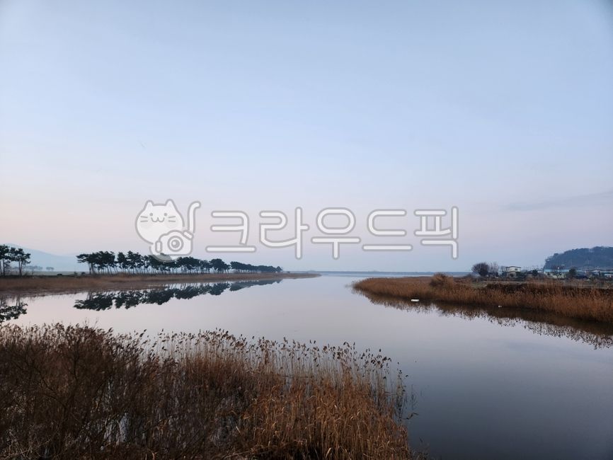 자연, 갈대, 물, nature, 강가, 사진,이미지,일러스트,캘리그라피 - moonkynge작가