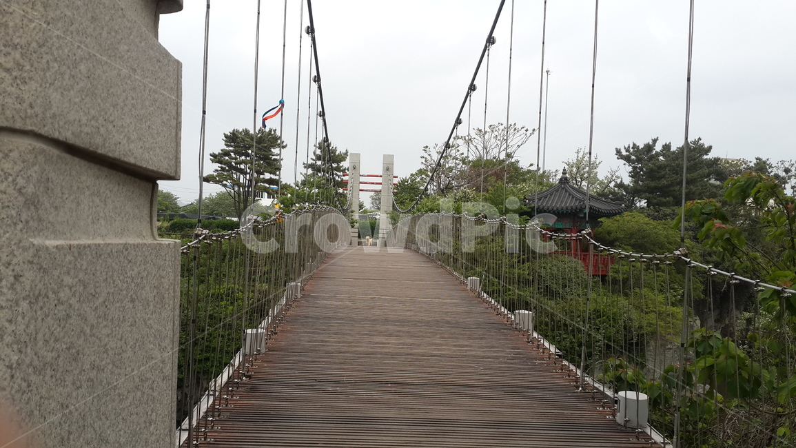 용연구름다리,제주도,정자,숲,나무