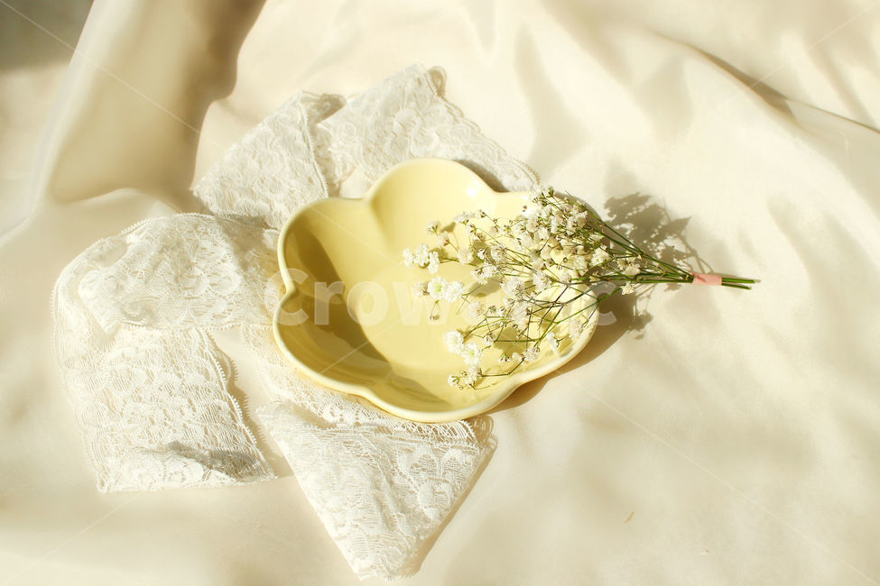 손,꽃,안개꽃,노랑,감성사진,그릇,노란색,하얀색,yellow,white,flower,flowers,레이스,접시,hand,사물,물건,오브젝트,thing,object,matter