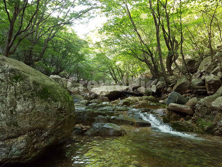 water,물,nature,자연,흐름,stream,자연,풍경,nature,landscape