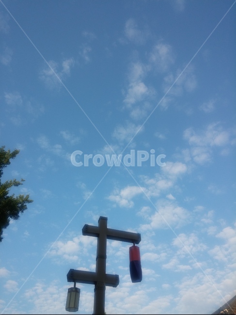 청사초롱,전통,한국,하늘,나무,전주