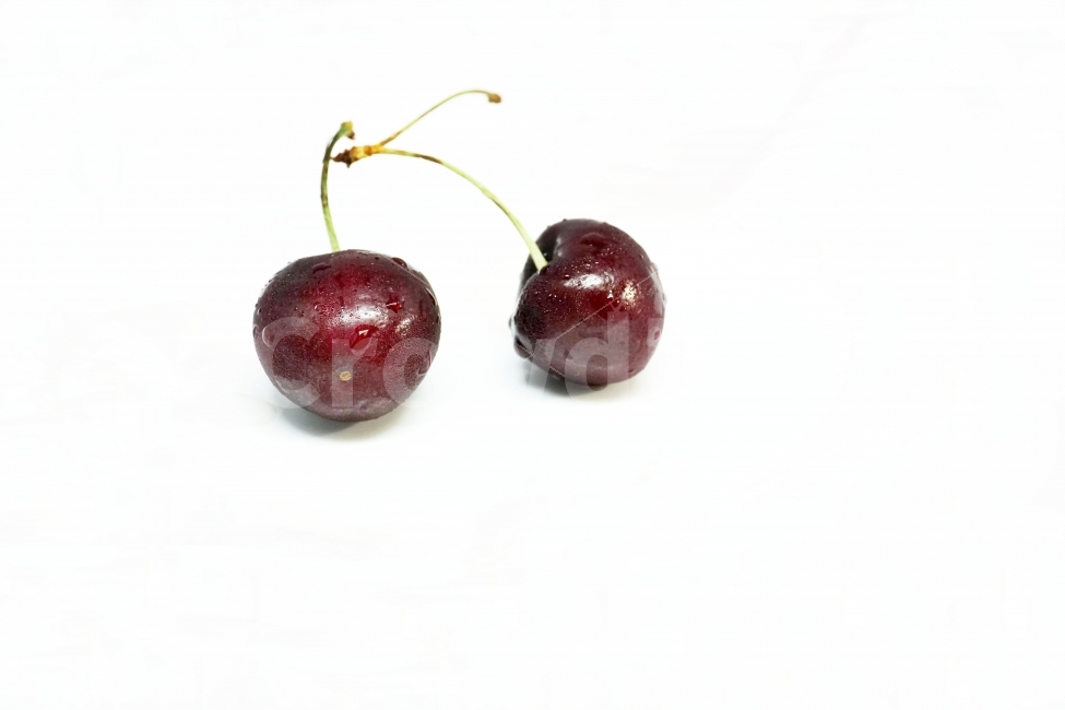 체리,앵두,과일,열매,프루트,후루트,fruit,cherry,음식,사물,물기,물방울,수분,누끼,비타민,과실,디저트,desert,food,오브젝트,object,농산물,농작물,식재료,식자재,식품,신선도,신선하다,신선한,싱싱하다,싱싱한,meal,vegetable,먹거리,먹을거리,먹을거,먹을것,음식,식재료,요리,food,cook,meal,dishes,food reserves,과일,열매,fruit,누끼,remove background
