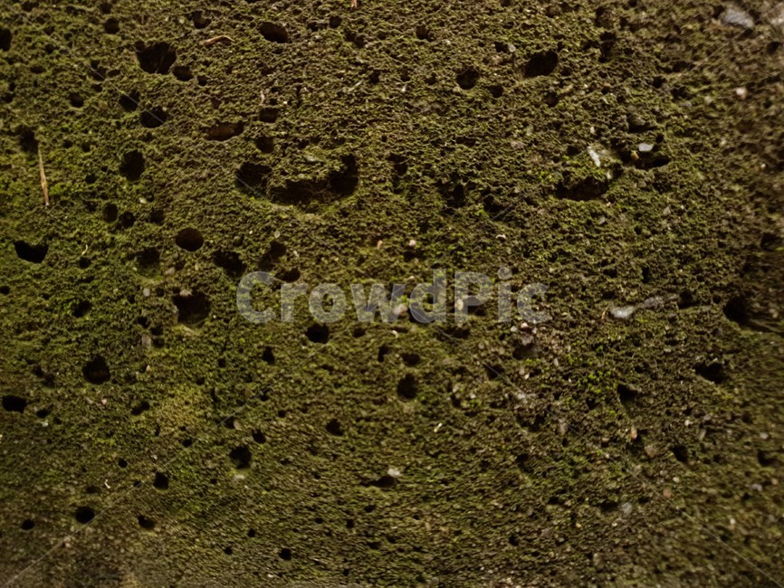 돌,이끼,습한,벽,질감,배경,texture,축축한,moss,wet,젖은,흠,구멍
