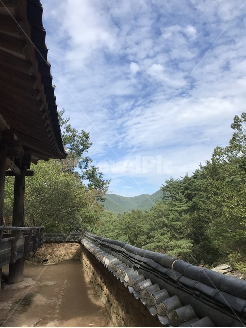 한옥,자연,국내,산,안동,들판,기와집,기와,나뭇잎,하늘,맑음