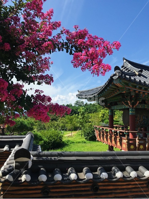 temple,건축물,낙산사,자연,korea,한국,architecture,전통