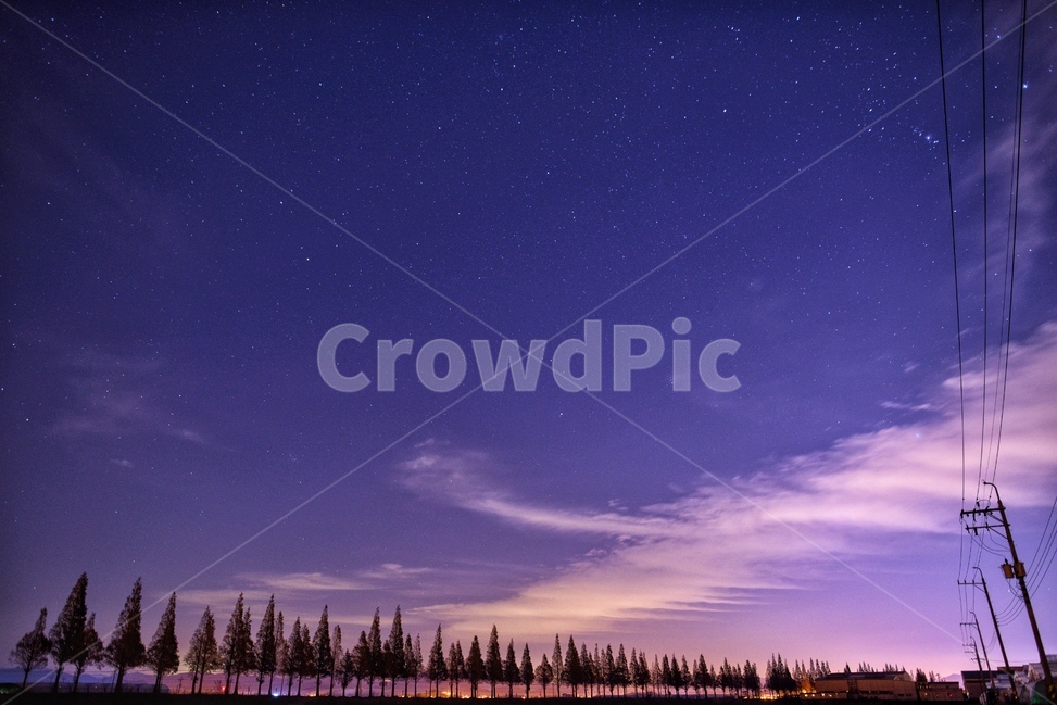 풍경,야경,별,은하수,가로수,자연,풍경,nature,landscape,야경,밤,nightscape,night,outdoors,옥외