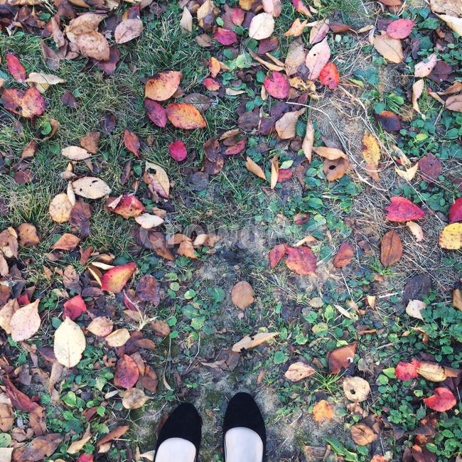 가을,낙엽,산책,가을산책,공원,가을,계절,fall,autumn,season,ground,바닥