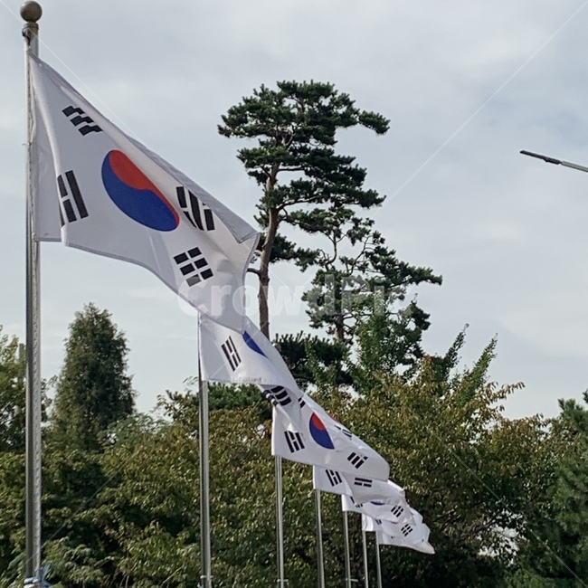 태극기,flag,대한민국,상징,국기