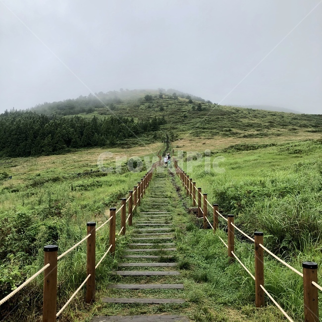 제주도,백약이오름,산,자연,jejuisland,초원,nature