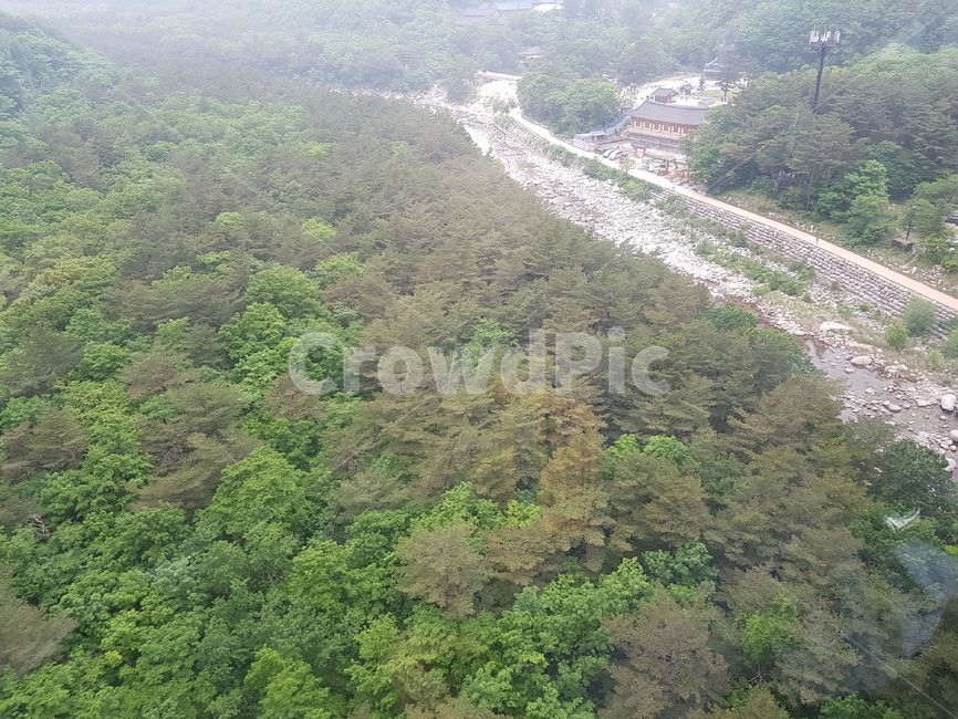 설악산,산,자연,풍경,나무,안개자욱,설악산정상,안개,설악산안개,숲,숲속안개,바위,돌