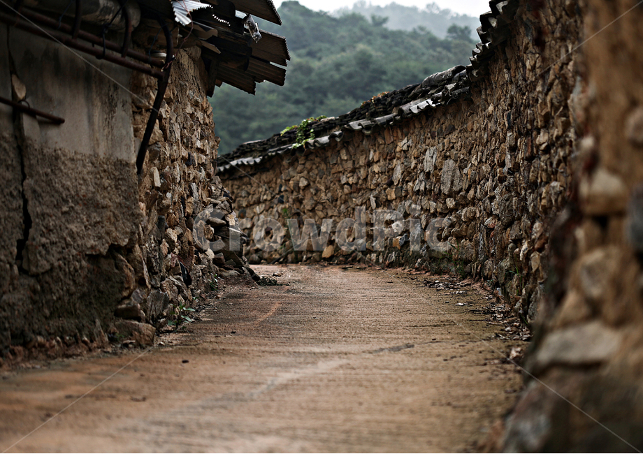 전통,한옥,골목,담장,돌담,기와,시골,마을,풍경,landscape,country,rural,town,한국전통,한국문화,korean traditional,korean culture,건축물,건물외관,exterior,building,structure,architecture,construction
