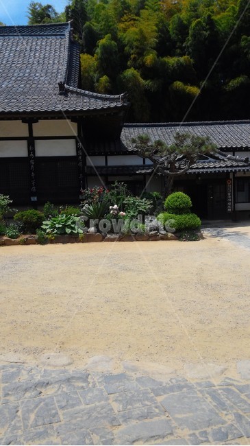 군산동국사,절,나무,푸름,울창