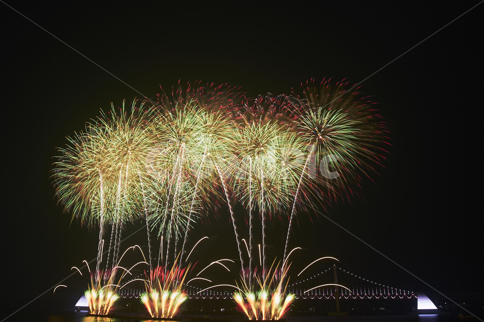 불꽃,폭죽,불꽃놀이,불꽃축제,부산불꽃축제,화약,야경,밤,풍경,nightscape,night,landscape,nature,자연,outdoors,옥외,plant,식물