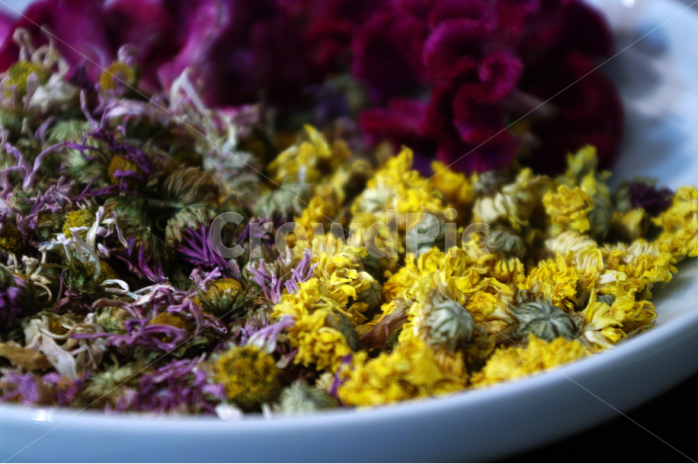 꽃,포푸리,꽃잎,꽃향,potpourri,color,꽃,flower