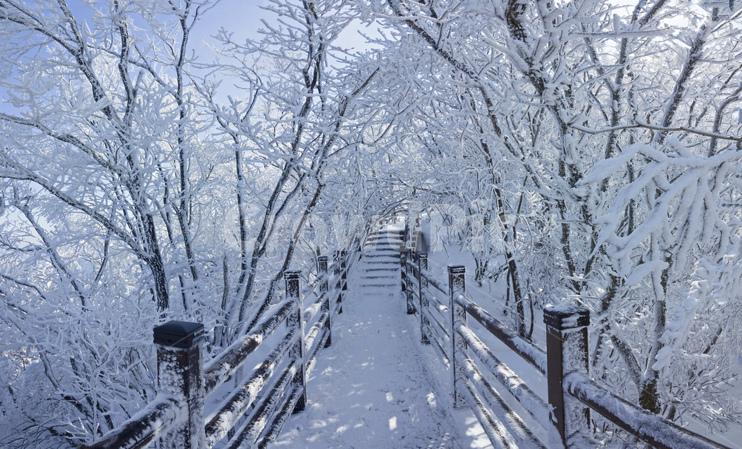 눈,눈꽃,자연,풍경,겨울,나무,snow,모악산,구이면,겨울,계절,winter,season
