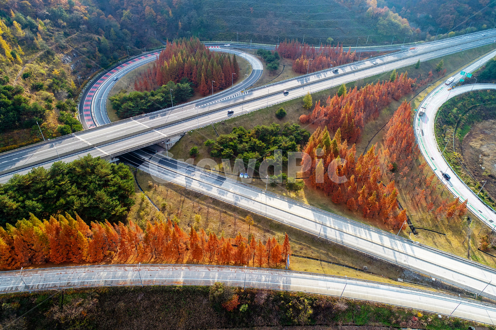 도로,고속도로,인터체인지,가을,단풍