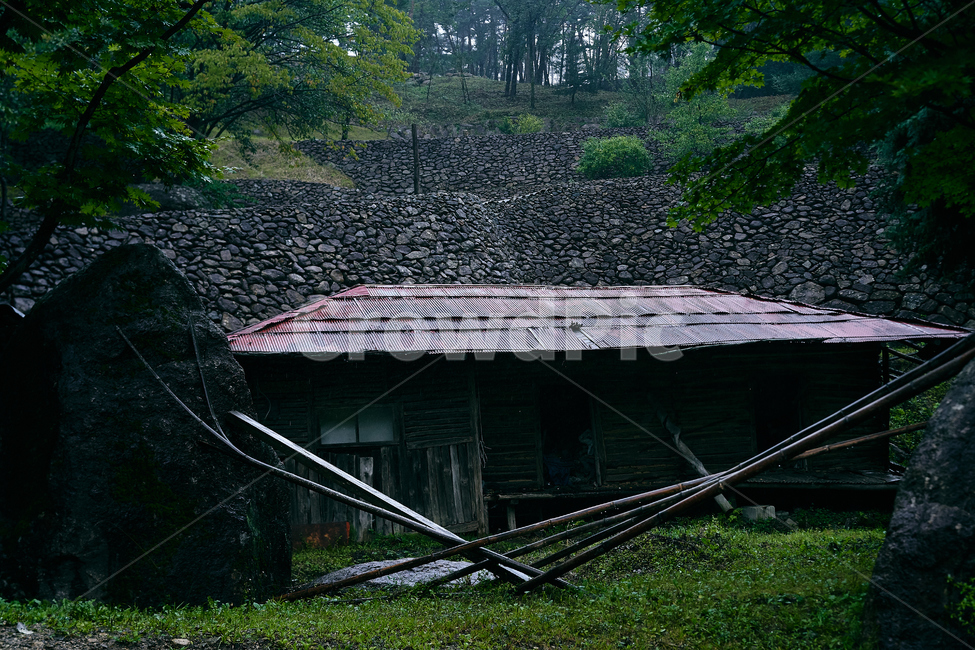 풍경,자연,nature,outdoors,옥외,building,건물,폐가,비,비오는날,어둠,공포,새벽,음산,풀,잔디,돌,돌담,건축물,건물외관,exterior,building,structure,architecture,construction