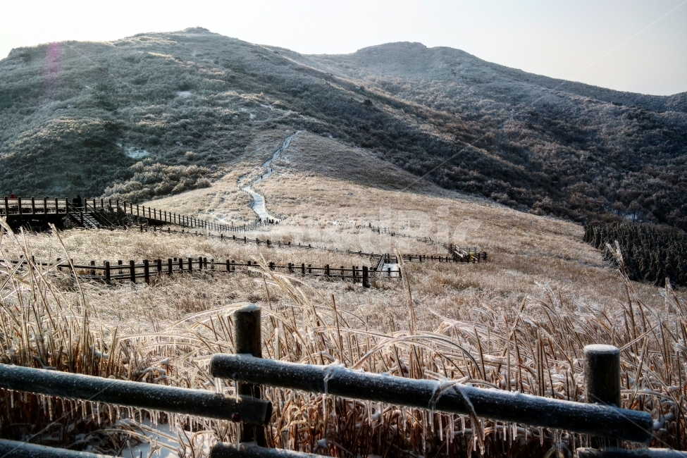 울산,간월재,영남알프스,억새평원,여행,자연,풍경,nature,landscape,한국자연풍경,한국자연경관,korea nature landscape