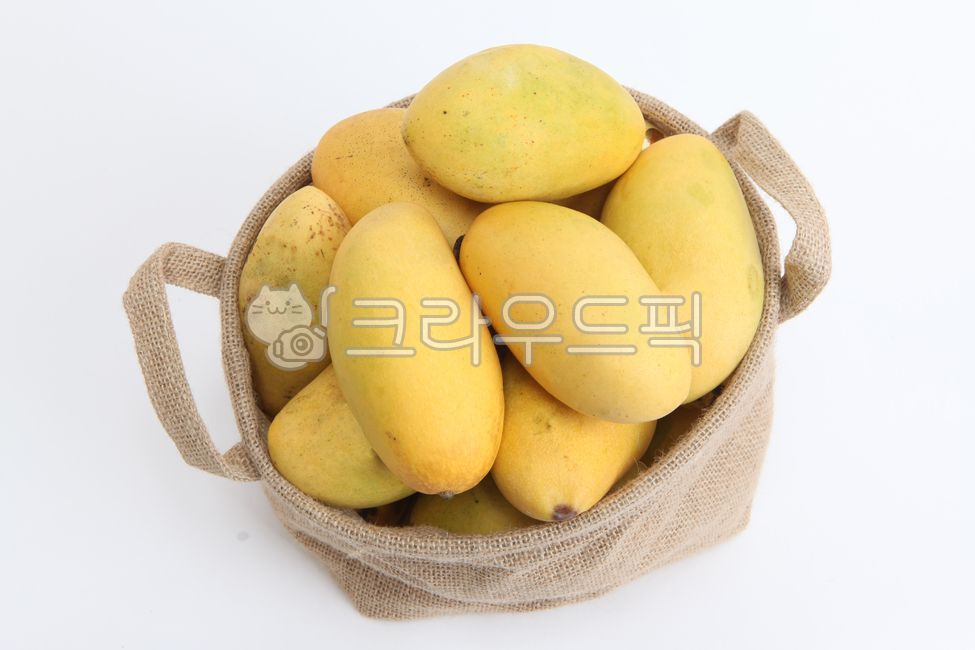 망고,애플망고,골드망고,과일,열대과일,수입과일,망고나무,카라바오망고,필리핀망고,페루망고,태국망고