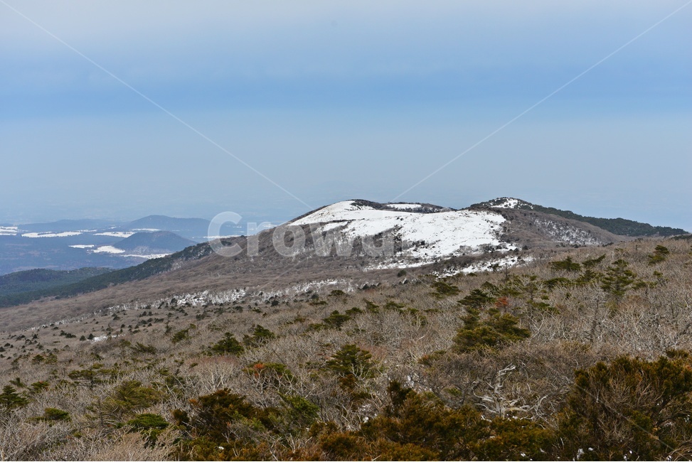 제주,한라산,한라산설경,오름,설경,겨울,계절,경치,경관,풍경,영실,윗세오름,outdoors,옥외,snow,눈,nature,자연,mountain,산,plant,식물,tree,나무,fir,전나무