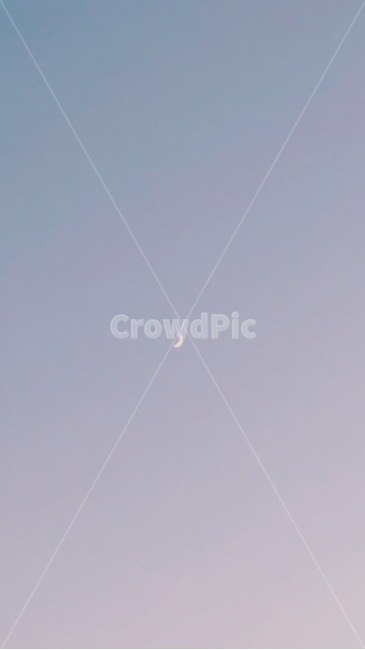 배경,달,달배경,폰배경,세일러문,행복,자연,풍경,nature,landscape,animal,동물,bird,새,flying,나는