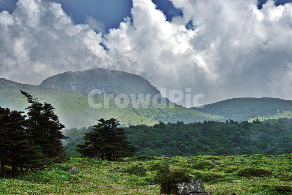 한라산,영산,제주도,자연,어리목코스,운무,만세동산,백록담,구름