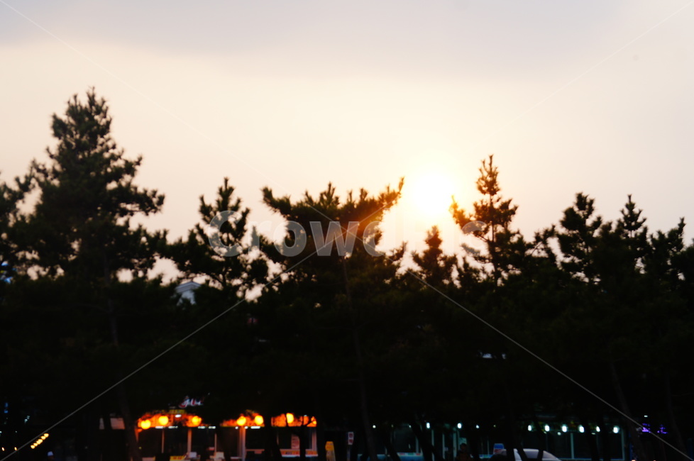 풍경,노을,태양,나무,선셋,하늘,식물,자연,plants,nature,나무,trees,wood,실루엣,그림자,silhouette,shadow