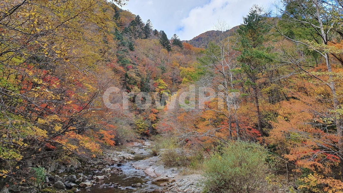 자연,산,가을,단풍,계곡,가을,계절,fall,autumn,season,자연,풍경,nature,landscape