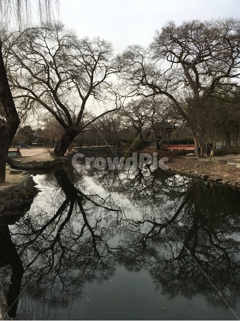 광한루,광한루원,방장정,연못,대칭,남원,gwanghallu,gwanghallupavilion,bangjangjeong,bangjangjeongpavilion,pond,symmetry,namwon,자연,풍경,nature,landscape,한국자연풍경,한국자연경관,korea nature landscape,water,물,outdoors,옥외,plant,식물,tree,나무