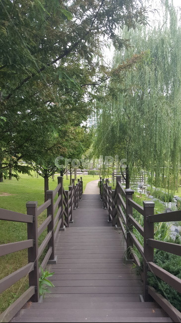 나무울타리,계단,나무,나무계단,길,자연,야외,공원,잔디,버드나무,자연,풍경,nature,landscape,boardwalk,산책로,building,건물,bridge,다리,railing,난간
