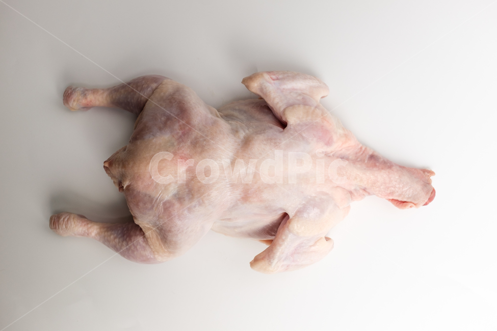 chicken breast,chicken,ingredient,raw,raw chicken,white meat,delicious,food,meal,Chicken leg meat,meat,Food Ingredients,ingredients,chicken neck,cooking,fresh,trimmed,chicken leg,chicken wings