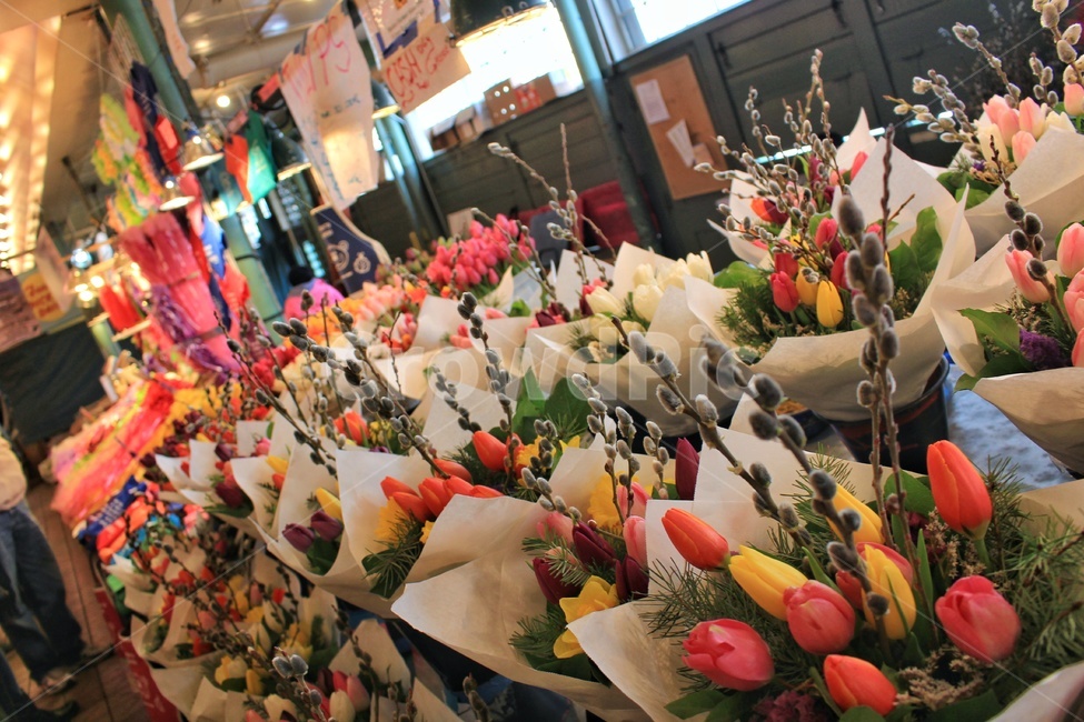 plant,식물,human,꽃꽂이,blossom,꽃,flower,flowerbouquet,꽃시장,시장,seattle,market,색깔,컬러