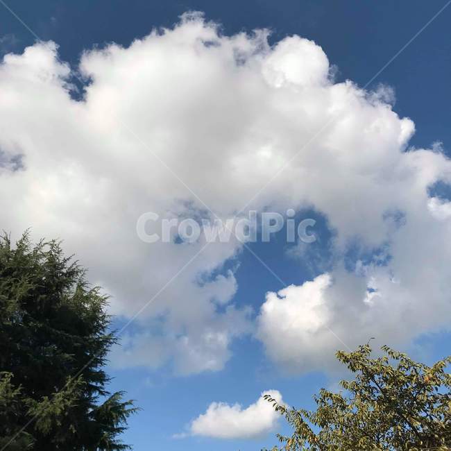 하늘,weather,날씨,구름,cloud,자연,nature,sky,자연,풍경,nature,landscape,outdoors,옥외,cumulus,적운